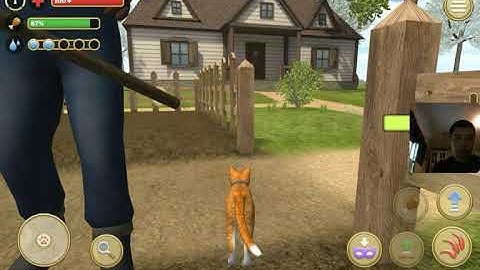 Cat simulator 2020: part 1