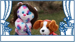 How To Become A Pet Care Pro