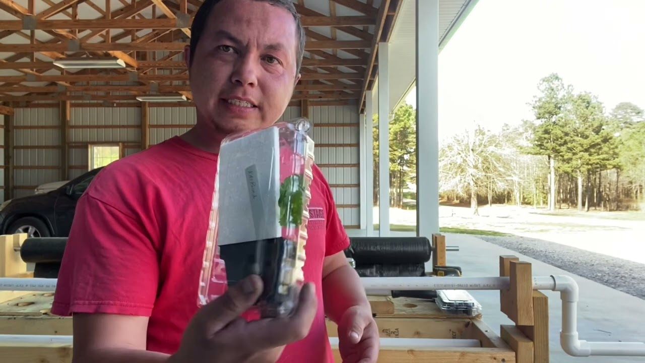 Unboxing Stonehouse Dahlia order.