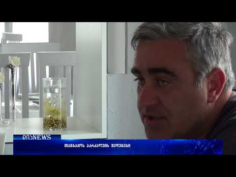 „თამბაქოს შესახებ\" მიღებული კანონთ გორში მცირე ბიზნესის ნაწილი უკმაყოფილოა 11.05.2018