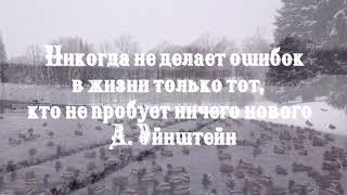 Грамм собственного опыта стоит дороже тонны чужих наставлений!