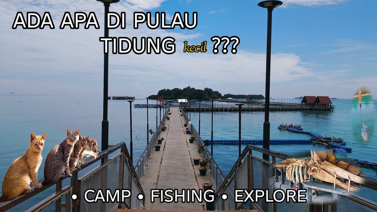 ADA APA DI PULAU TIDUNG KECIL? | Mancing Cumi, Camping & Explore Pulau Tidung