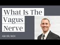 What is the Vagus Nerve
