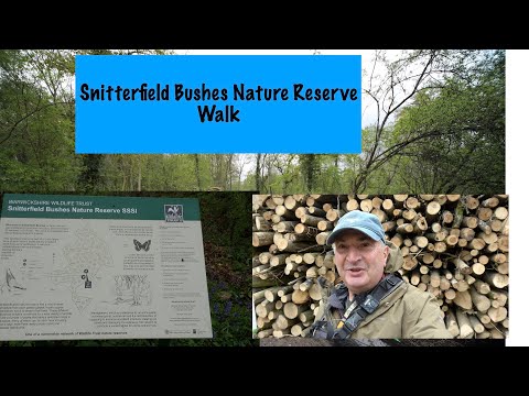 Snitterfield Bushes Nature Reserve Walk