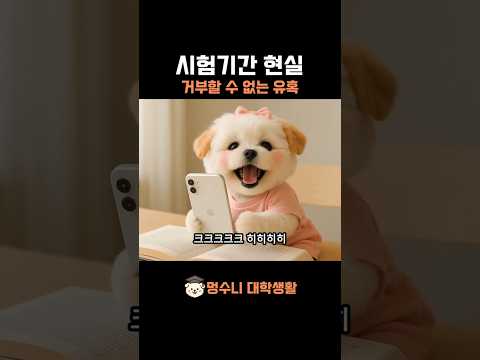 시험기간 생존기 핸드폰과 컵라면의 유혹 공부는 언제해?