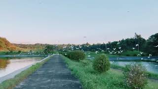 Wastewater treatment plant - Lagoon