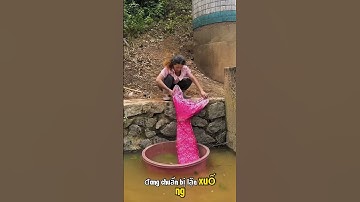 nàng tiên cá đã bị đứt mất đuôi.
