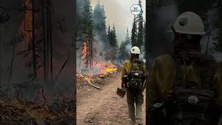 Canada Wildfires 2025 British Columbia Emergency Evacuations  || World Insight