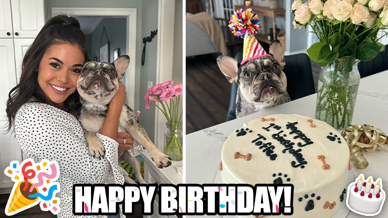 Dog Birthday Party: DIY Appetizers & Party Setup Ideas! 🎉🐶🥳