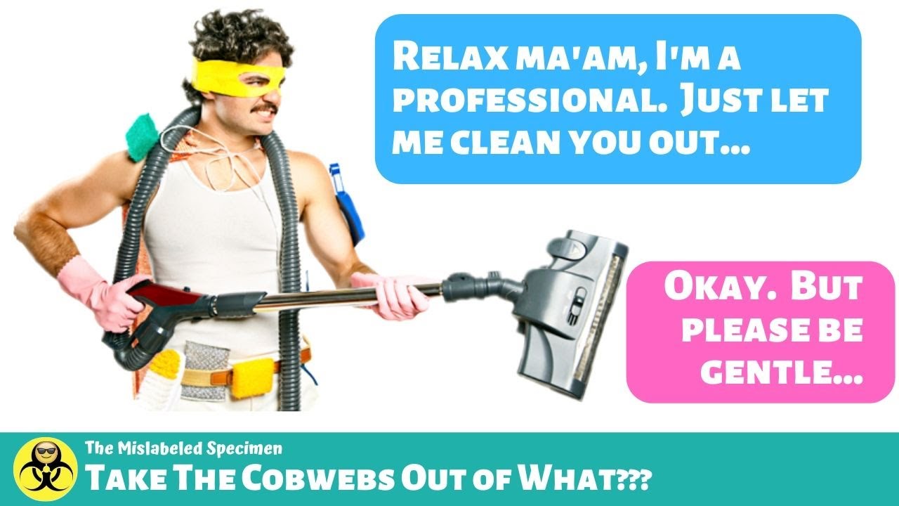 Take The Cobwebs Out of What??? Funny Lab Stories YouTube