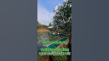 VƯỜN NGHỈ DƯỠNG VIEW SUỐI TUYỆT VỜI #batdongsan #muabandatgiare #tintuc #vuonngop