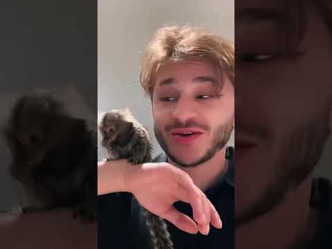 У Эльдара Джарахова