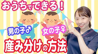 産み分け Youtube