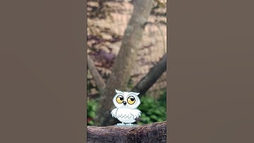 animation cartoon 💫