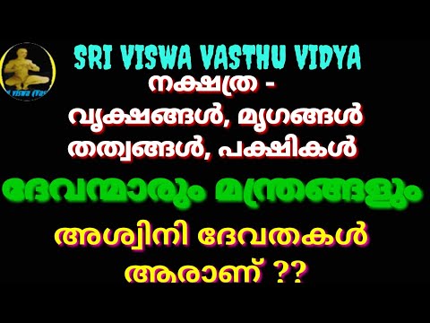 നക്ഷത്ര - ദേവതകളും മന്ത്രങ്ങളും , പക്ഷി, തത്വം, മൃഗം, വൃക്ഷം ||  MANTHRA || SRI VISWA VASTHU VIDYA