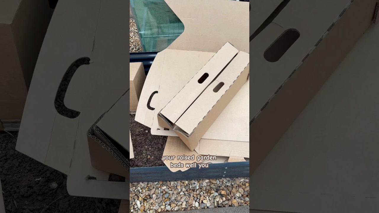 Using cardboard to fill up raised garden beds 