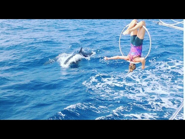 Hanging from a Sail Boat SAILING with DOLPHINS  Episode 55 (Sailing Catalpa)
