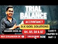 Trial Balance Dk Goel Solutions Accountancy Class 11 Chapter 14 Part 2 CBSE 2025 26