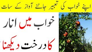 Khwab Mein Anar Ka Darakhat Dekhne Ki Tabeer || Dream Meaning Of pomegranate Tree