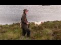 The Shooting Show – grouse over pointers special