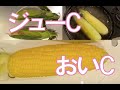 【ジューシー】とうもろこしの美味しい茹で方 〜茹で方次第で味が変わる〜【簡単】