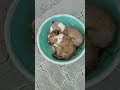 Thand aaja😭#dog #dogvideos #dogshorts #doglife #shorts #viral #trending #petvideos #funny