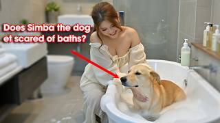 Cute Dog Bath Time with Simba – Adorable Reactions