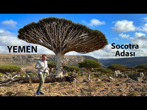 Yemen Socotra Adası Gezim