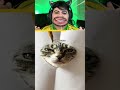 Como Desenhar um Gato Muito Realista! 🐱✍️