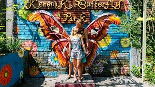 der schönste Park auf Bali - Kemenuh Butterfly Park| Weltreise VLog #23