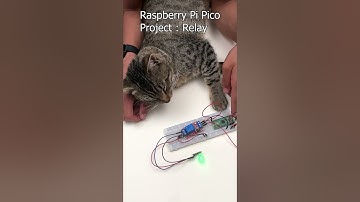 Raspberry pi pico project relay#coding
