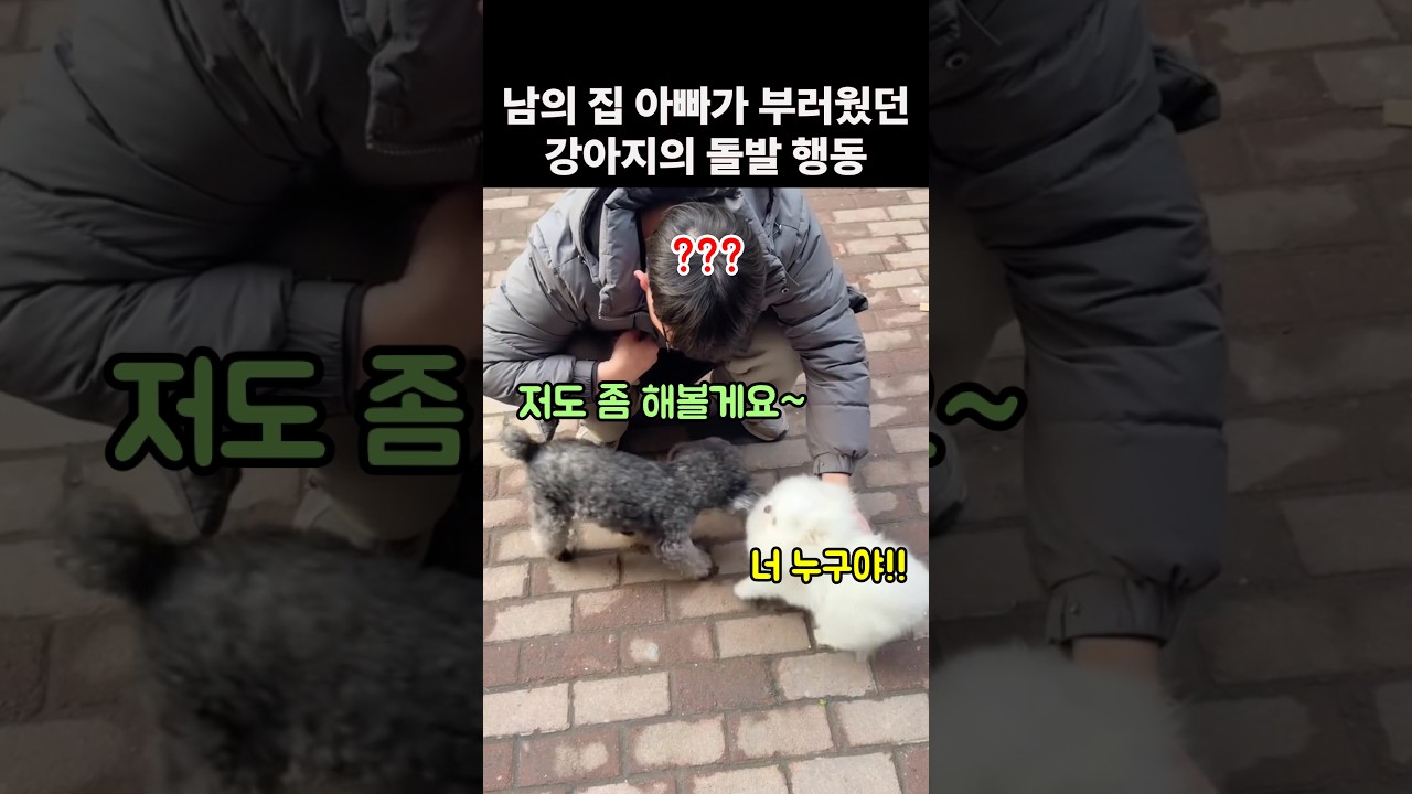 남의 집 아빠가 너무 부러웠던 강아지의 돌발 행동