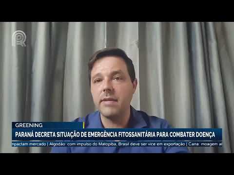 Greening | Paraná decreta situação de emergência fitossanitária para combater doença | Canal Rural