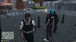 DreamLand RP (18+) LIVE PD (Grand Opening)