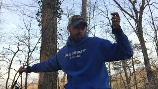 FLW Tour Recap on Lake Lanier - March, 2018