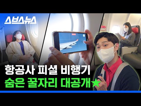 직접 타 보고 비교해 본 비행기 명당자리 1위는?! 비행기 타기 전 필수 시청★ /스브스뉴스