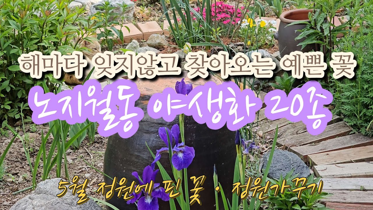 20 видов диких цветов, которые цветут в мае каждого года.