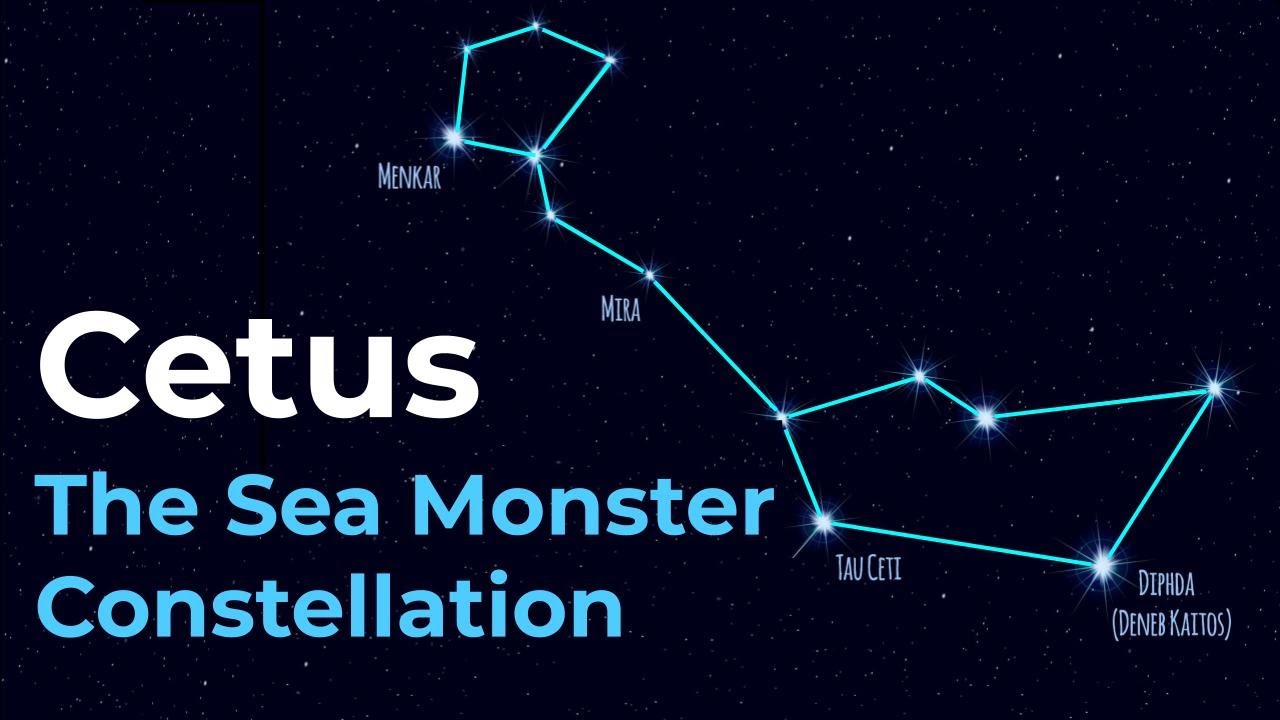 ★orogee★ Dolphin Constellation Stud Pleats PantsYellow Bei How to Find Delphinus the Dolphin Constellation - YouTube