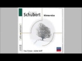 Schubert winterreise peter schreier  andrs schiff