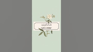 قرآن كريم | القارئ : ياسر الدوسري | من سورة: نوح