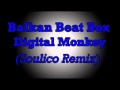 Miniature de la vidéo de la chanson Digital Monkey (Soulico Remix)