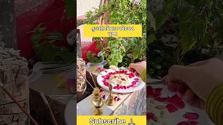 તુલસી વિવાહ સ્પેશ્યલ પૂજા???? shorts ytshorts viral viralvideo  tulsivivah tulsivivah2023