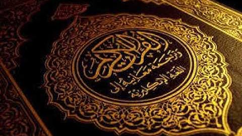 سورة الأحقاف "الشيخ هاني أبو شيته"- قراءة مميزة