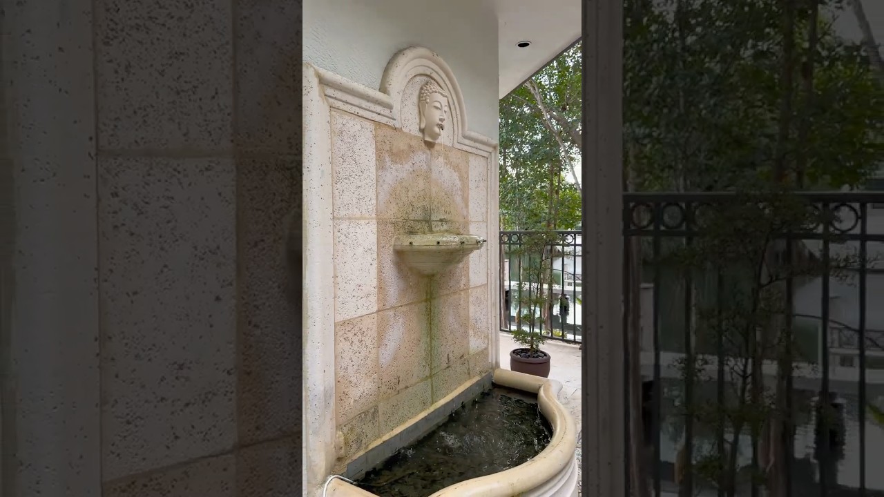 Your own private oasis 🧘 #secretgarden #miamirealestate #miamiluxuryrealestate