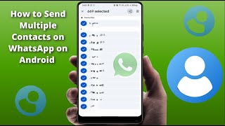 How To Select & Send Multiple Contact Numbers On Whatsapp