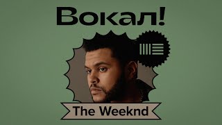 THE WEEKND - WASTED TIMES VOCAL PROCESSING IN Ableton 11