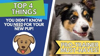 Trainer Tips: 4 Things You Didn't Know You Need For Your Puppy