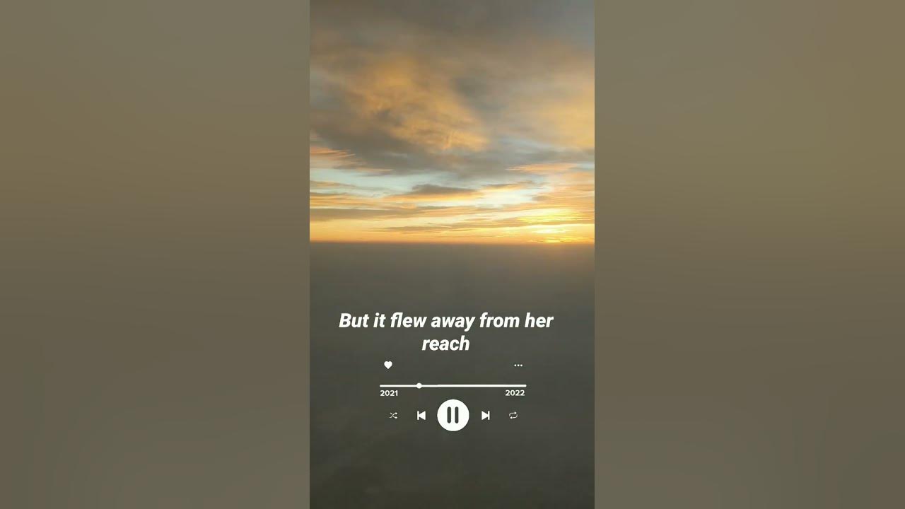 Paradise..💞💞 #youtube #coldplay #ytshorts #trending #shorts #short #lyrics #travel #love #shortvideo