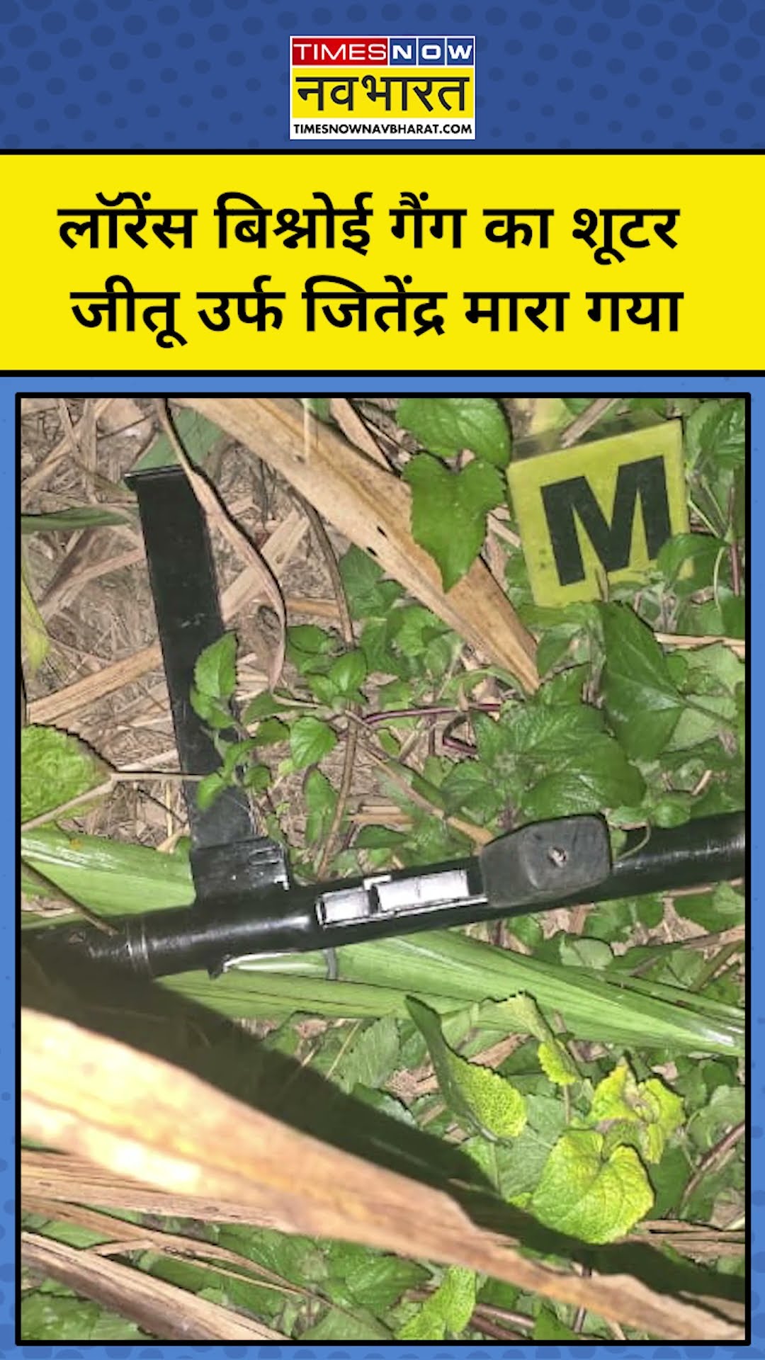 UP Encounter News:लॉरेंस बिश्नोई गैंग का शूटर जीतू उर्फ जितेंद्र मारा गया #shorts #news #topnews