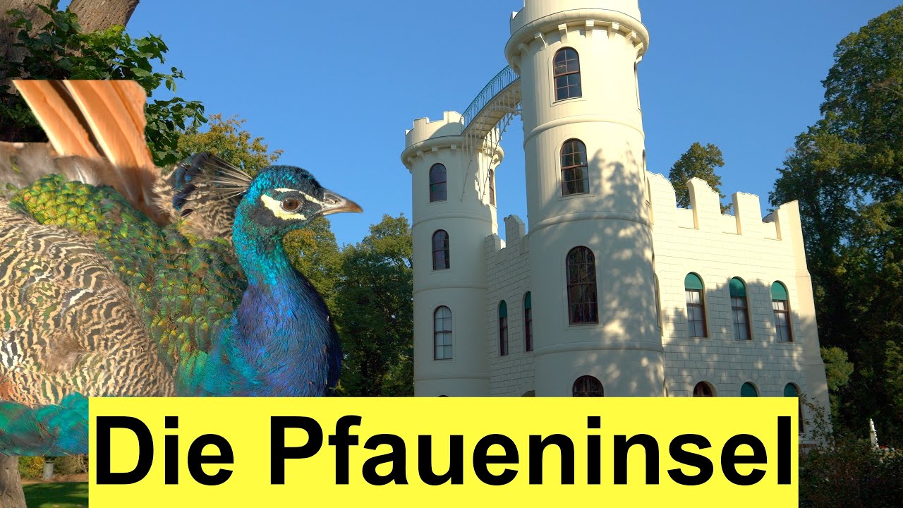 DIE PFAUENINSEL IN BERLIN - nur mit der Fähre zu erreichen
